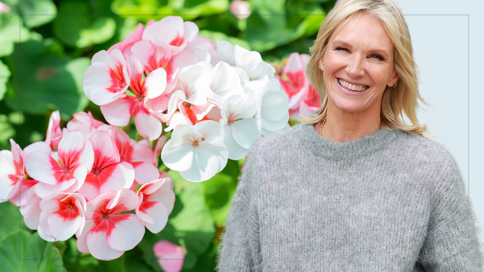 picture of pelargoniums and cut out of jo whiley over the top 