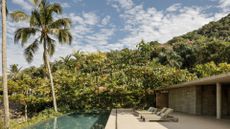 Swimming pool and palm trees