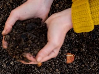 garden soil being scooped into hands
