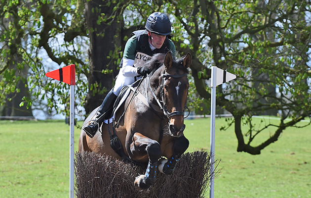 Traveller Royale at Belton