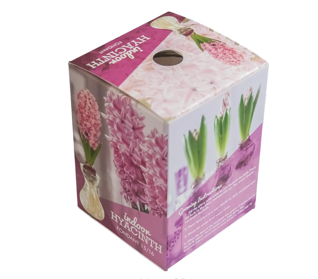 Pink box containing a hyacinth forcing kit