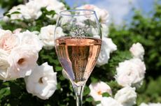 best Prosecco ros&eacute;