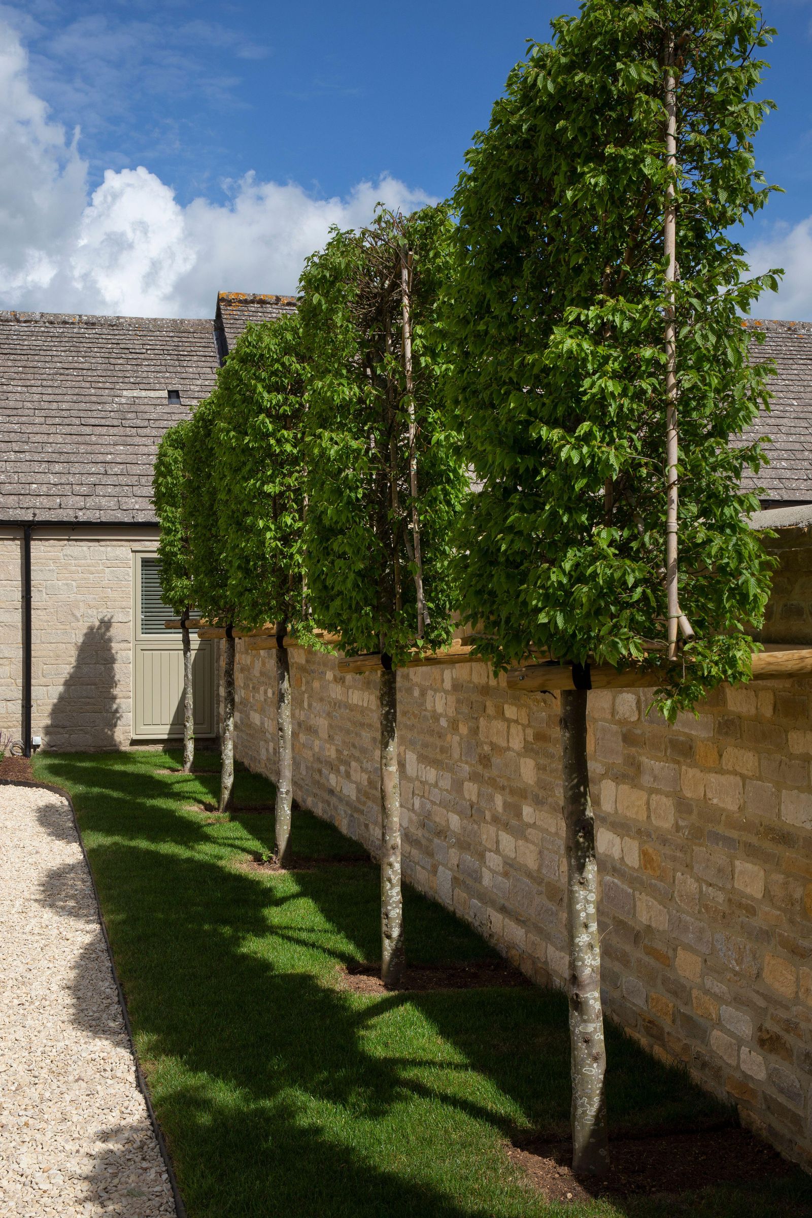 4 Backyard Projects That Can Add Value to Your Home | Livingetc