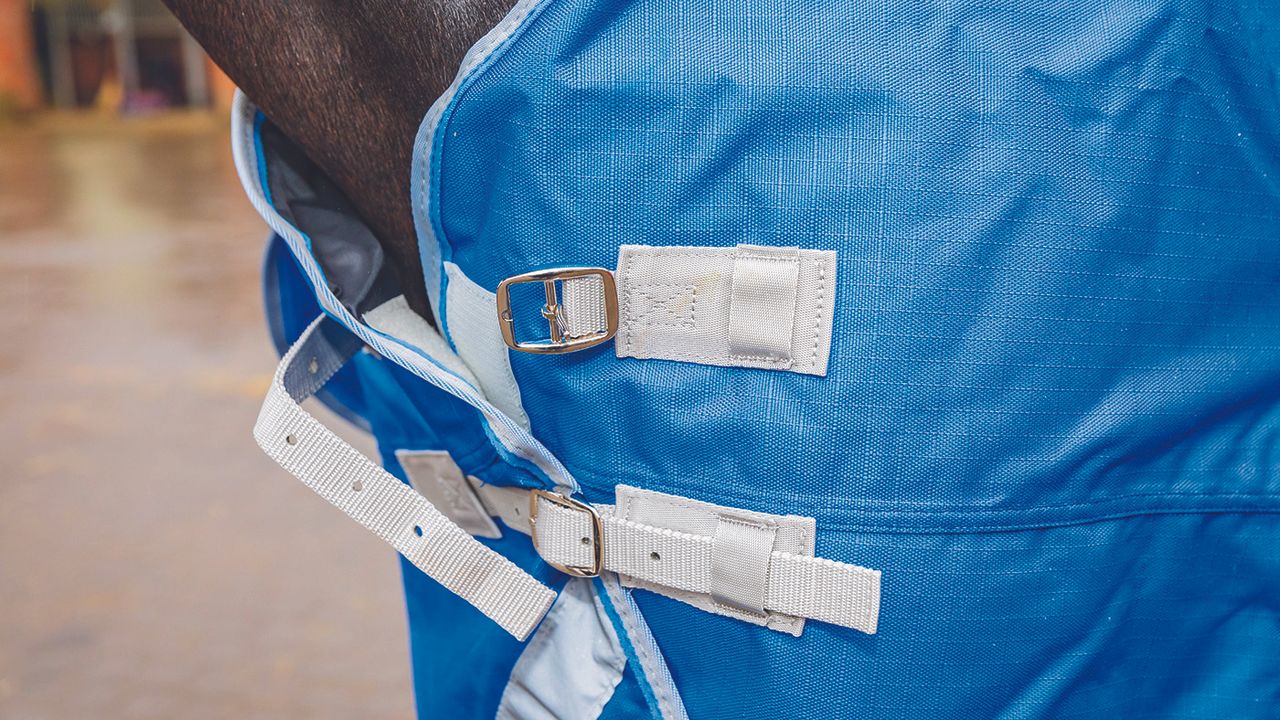 Swish Equestrian lightweight turnout review