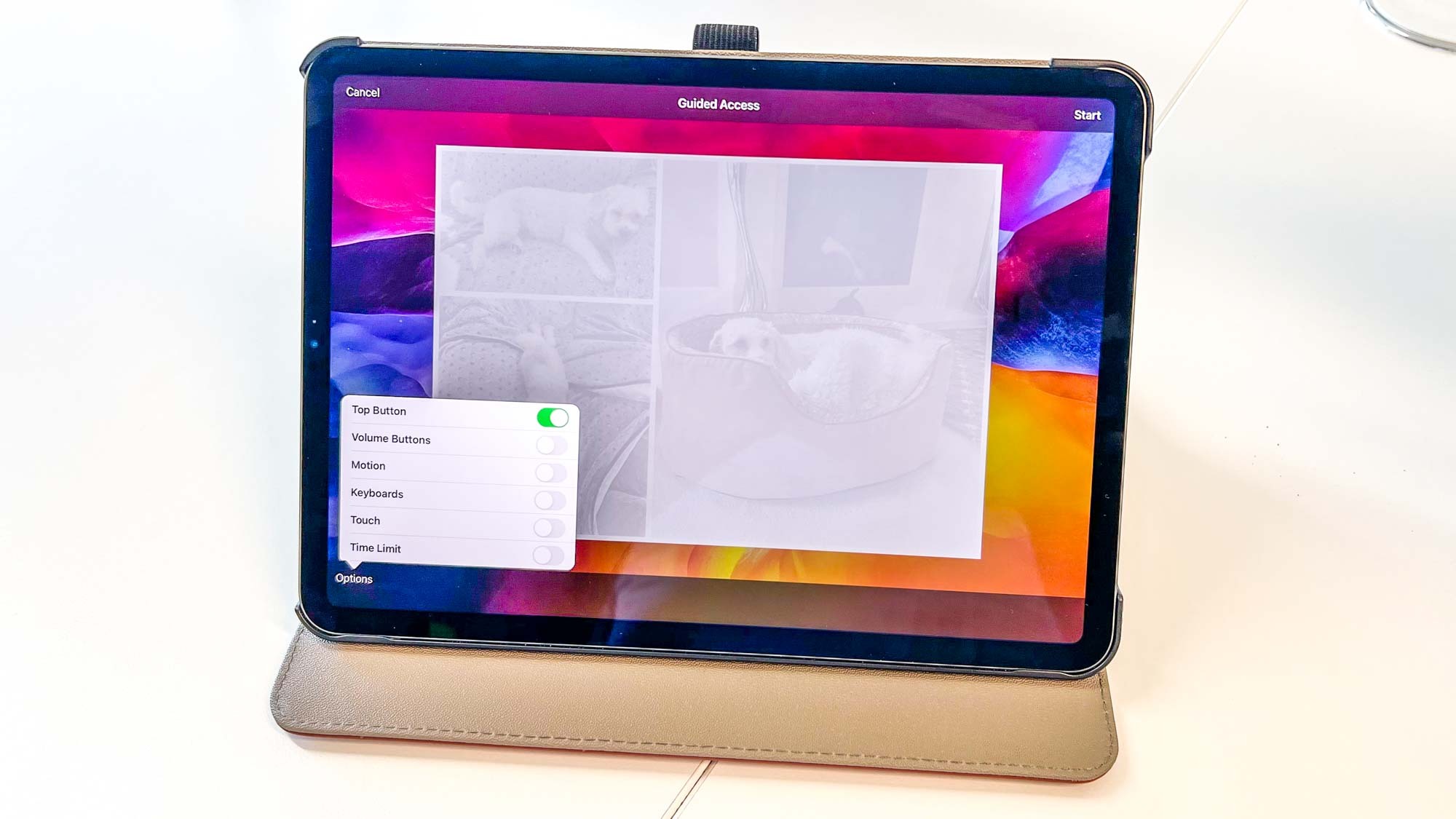 An iPad with Guided Access options open