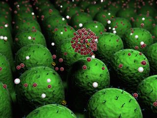 An artist's concept of the human immune system.