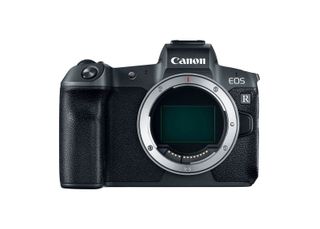 Could Canon's flagship mirrorless, the EOS R, be receiving an update in 2020 as well?