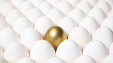 Gold egg among rows of identical white eggs