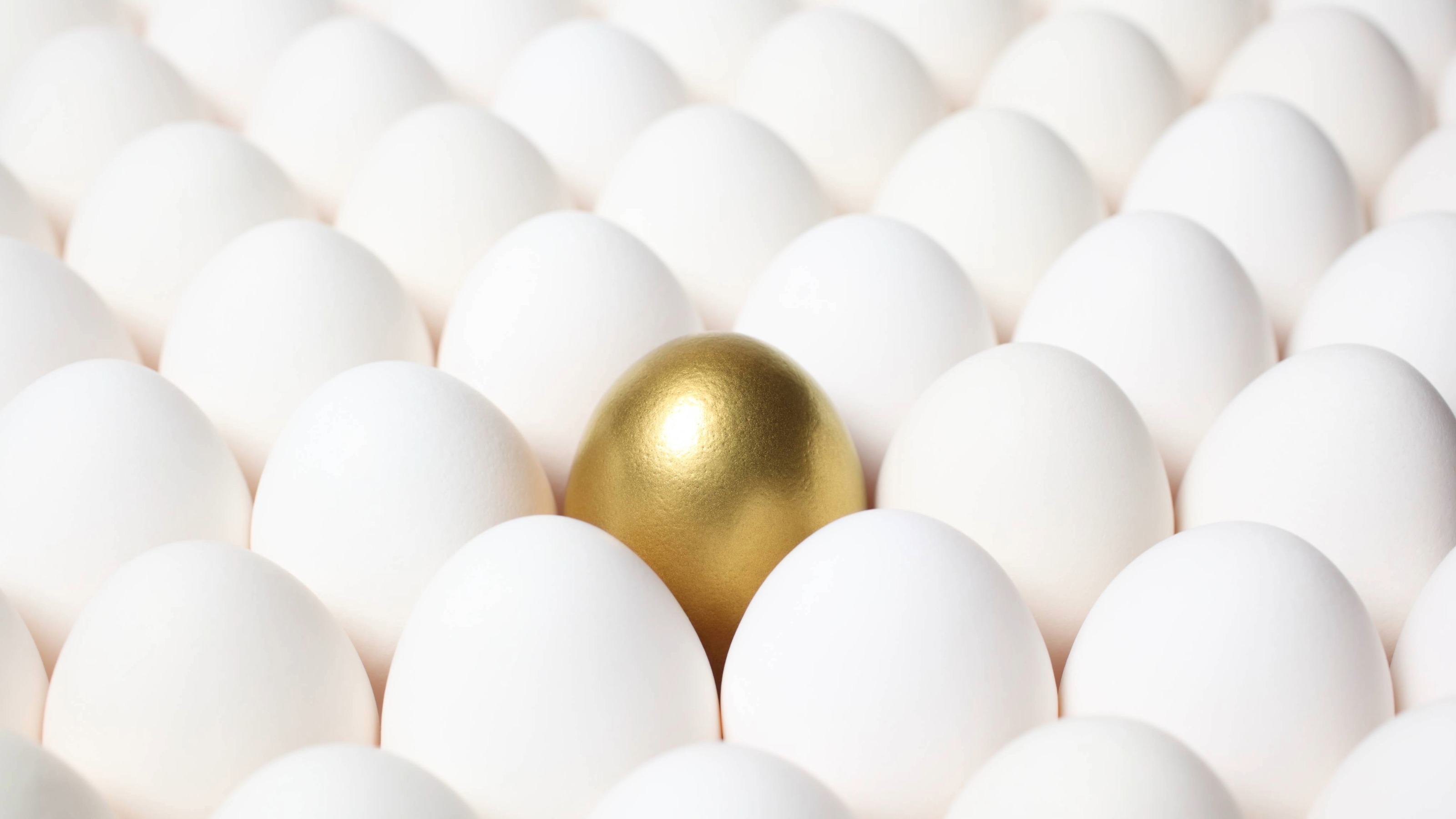 Gold egg among rows of identical white eggs