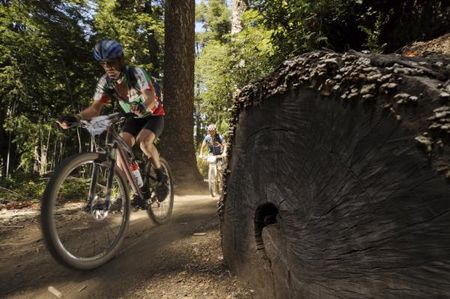 Two racers speed through the forest in the Trans Andes