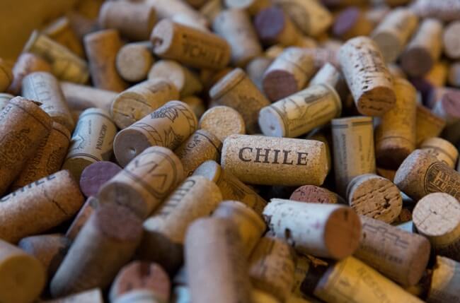jefford chile wine