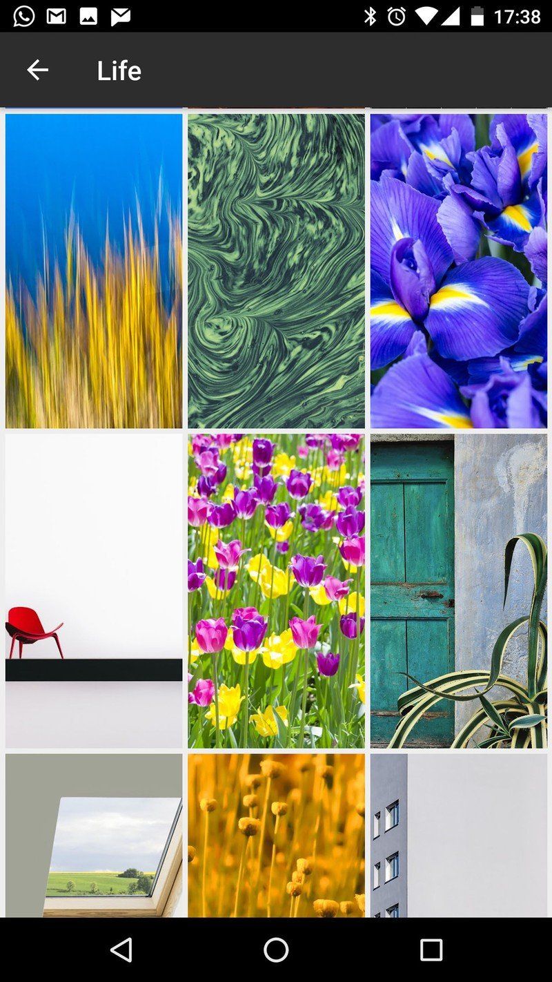 Google Wallpapers