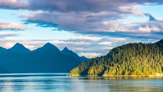 A majestic Alaskan Fjord with sunlit forested island in foreground and dark mountain range.