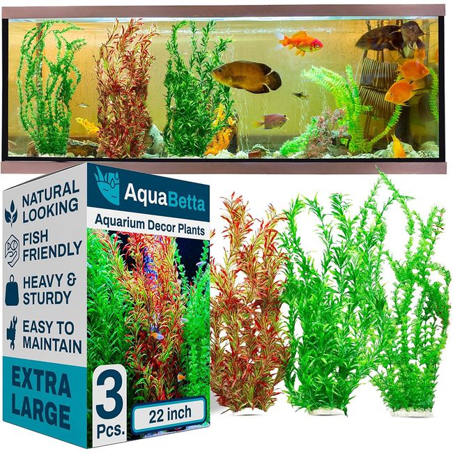 Best fish tank decorations for an eye-catching display | PetsRadar