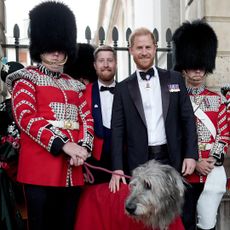Prince Harry posing with the Irish Guards band and their mascot dog, Seamus