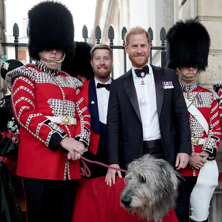 Prince Harry posing with the Irish Guards band and their mascot dog, Seamus