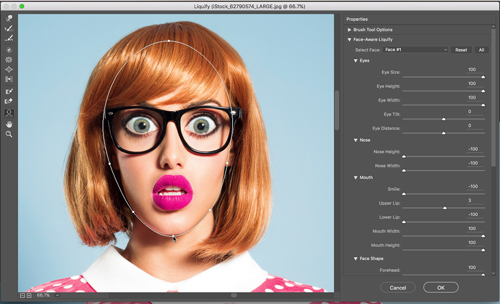 Click on the Face Tool in the tool bar to manually adjust the features