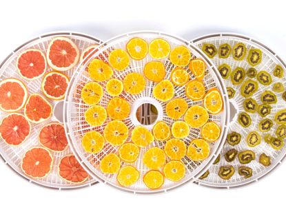 Overhead view of dried orange, grapefruit, and kiwi slices