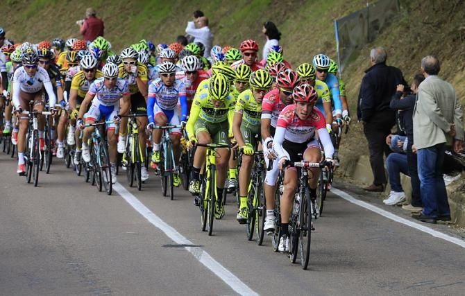 The peloton in the GP Beghelli