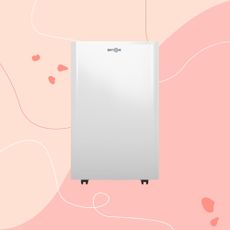 Dryzone dehumidifier on a pink graphic background