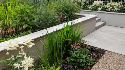 Kirman design - garden border ideas