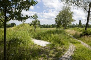 gardens at The House Under the Ground by WillemsenU