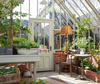 interior of Alitex greenhouse with shelving at Chelsea Flower Show 2024