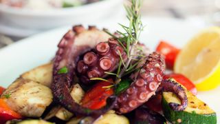 Grilled octopus