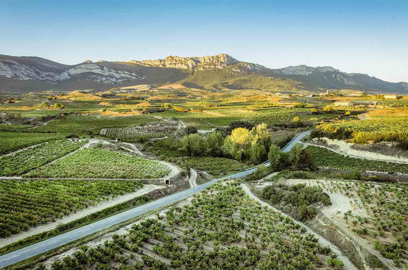 Vi&amp;ntilde;edoa El Pacto's Riojanda Vi&amp;ntilde;edo Singular comes from vineyards in Navaridas, Sonsierra