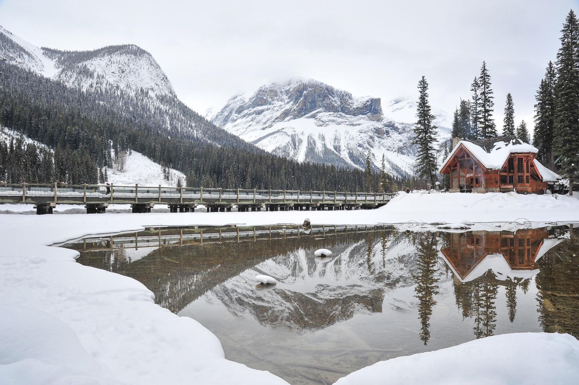 GuruShots - February 2026