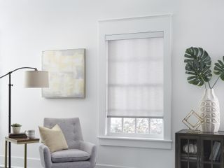 Window treatment idea with solar shades in white living room