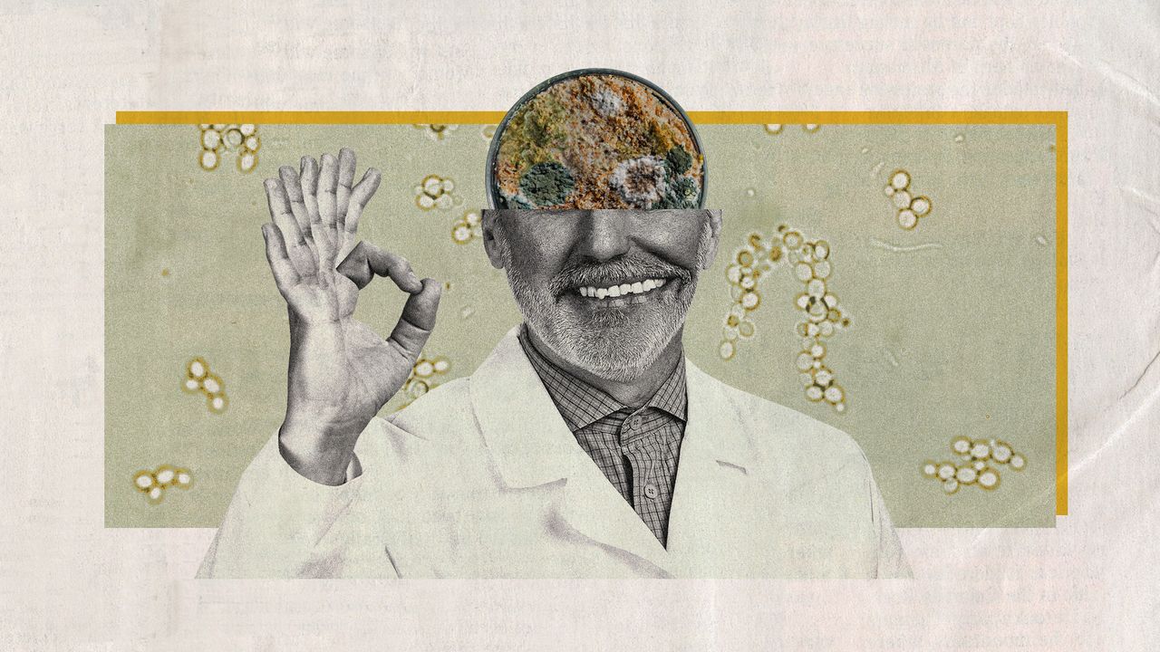 Photo collage of a man wearing a lab coat with his forehead is cut away, to reveal a mould-filled Petri dish behind. His hand is raised, showing the &quot;ok&quot; gesture and revealing several additional fingers sprouting from it, and his mouth is unnaturally positioned on the face and filled with far too many teeth.