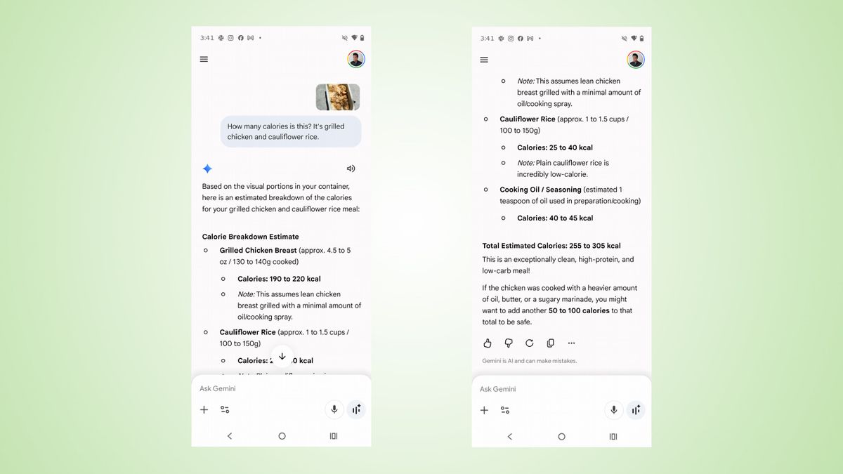 Google Gemini calorie tracker screenshots.