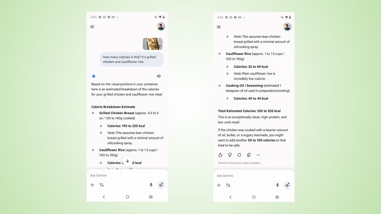 Google Gemini calorie tracker screenshots.