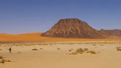 Post image 10