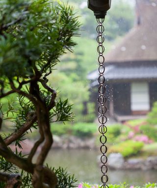 Rain chain in a wet garden