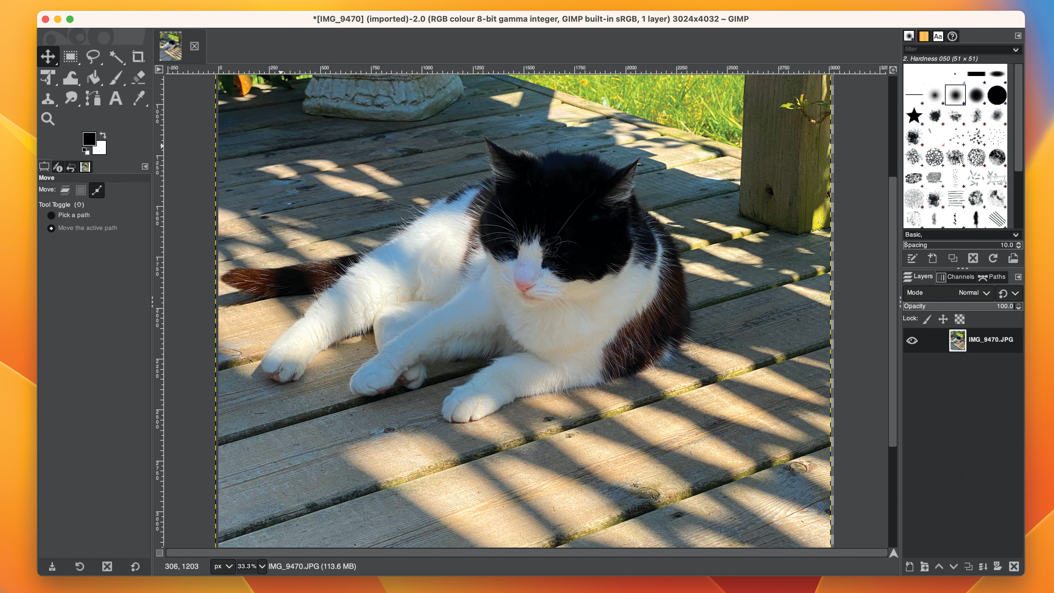 Screenshot of GIMP app for Mac