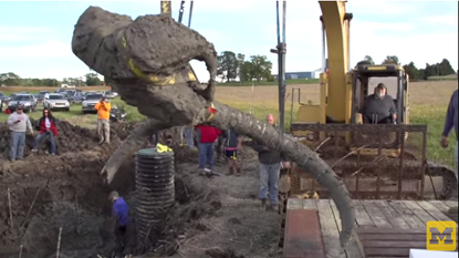 Dan Fisher and his team excavate woolly mammoth bones in Michigan.