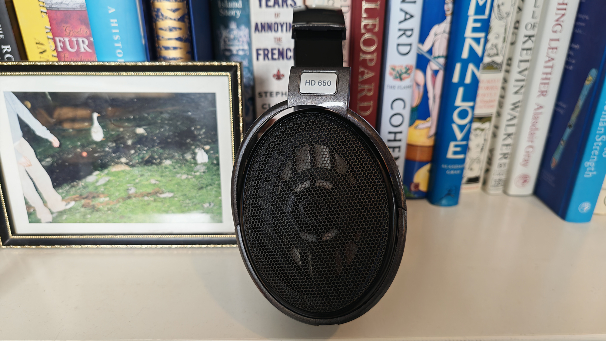 My pair of the Sennheiser HD 650s on a bookshelf.