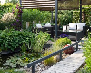 A modern furnished patio and pergola with a small pond, water lilies, hostas and Clematis