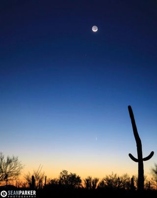 Comet Pan-STARRS and the Moon over Arizona