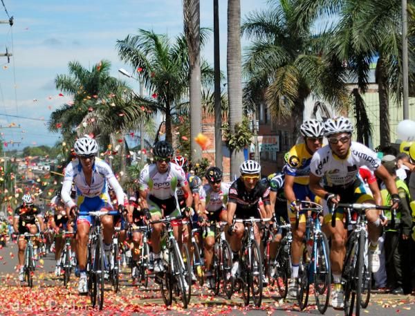 The peloton rides through the raining flowers