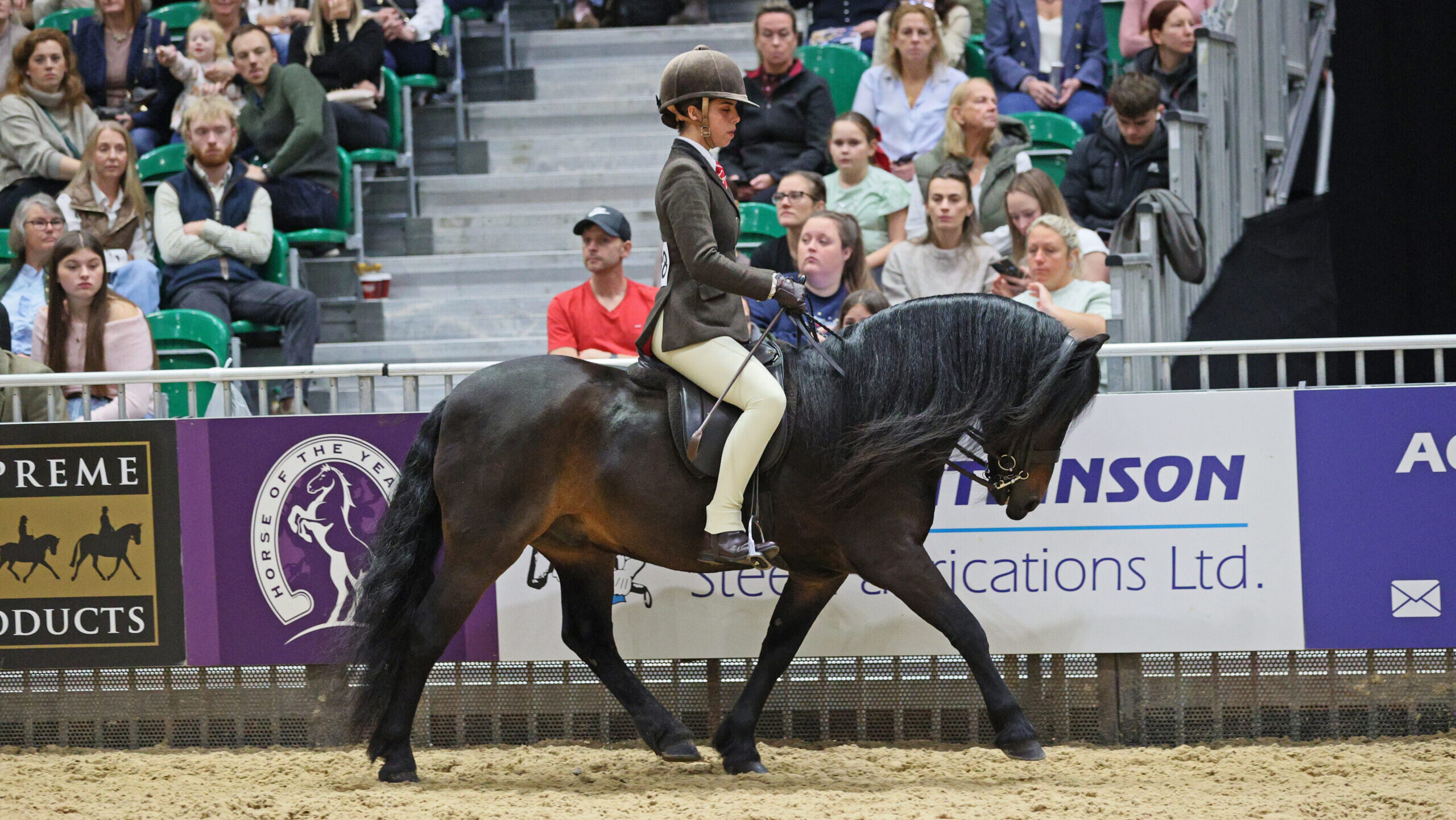 M&amp;amp;M Dartmoor pony Pricklegate Brown Owl and Alyia Khan win their breed class at HOYS