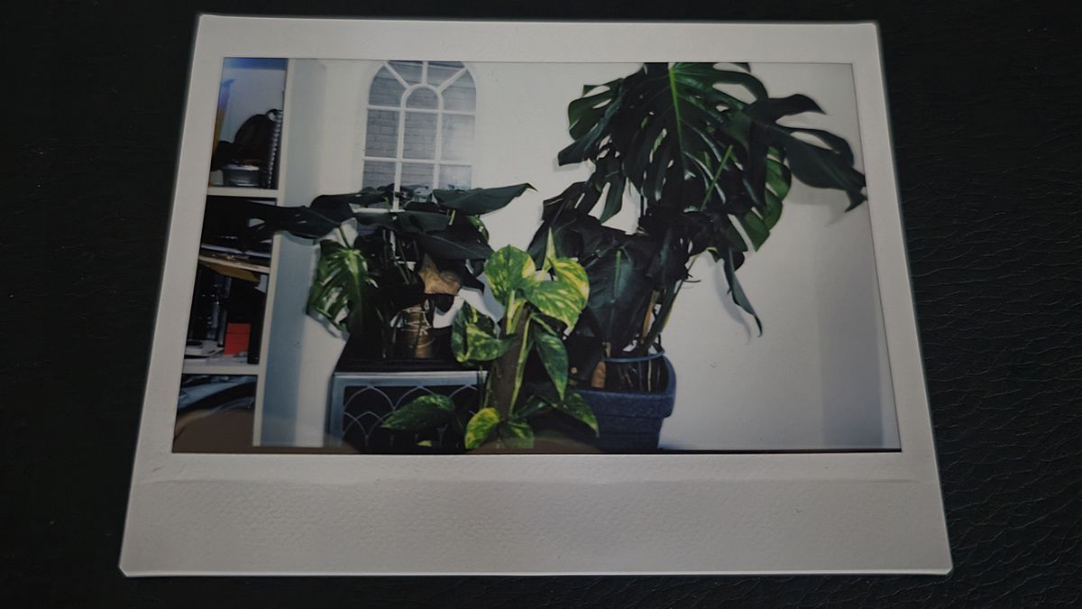 Fujifilm Instax Wide 400 review sample images