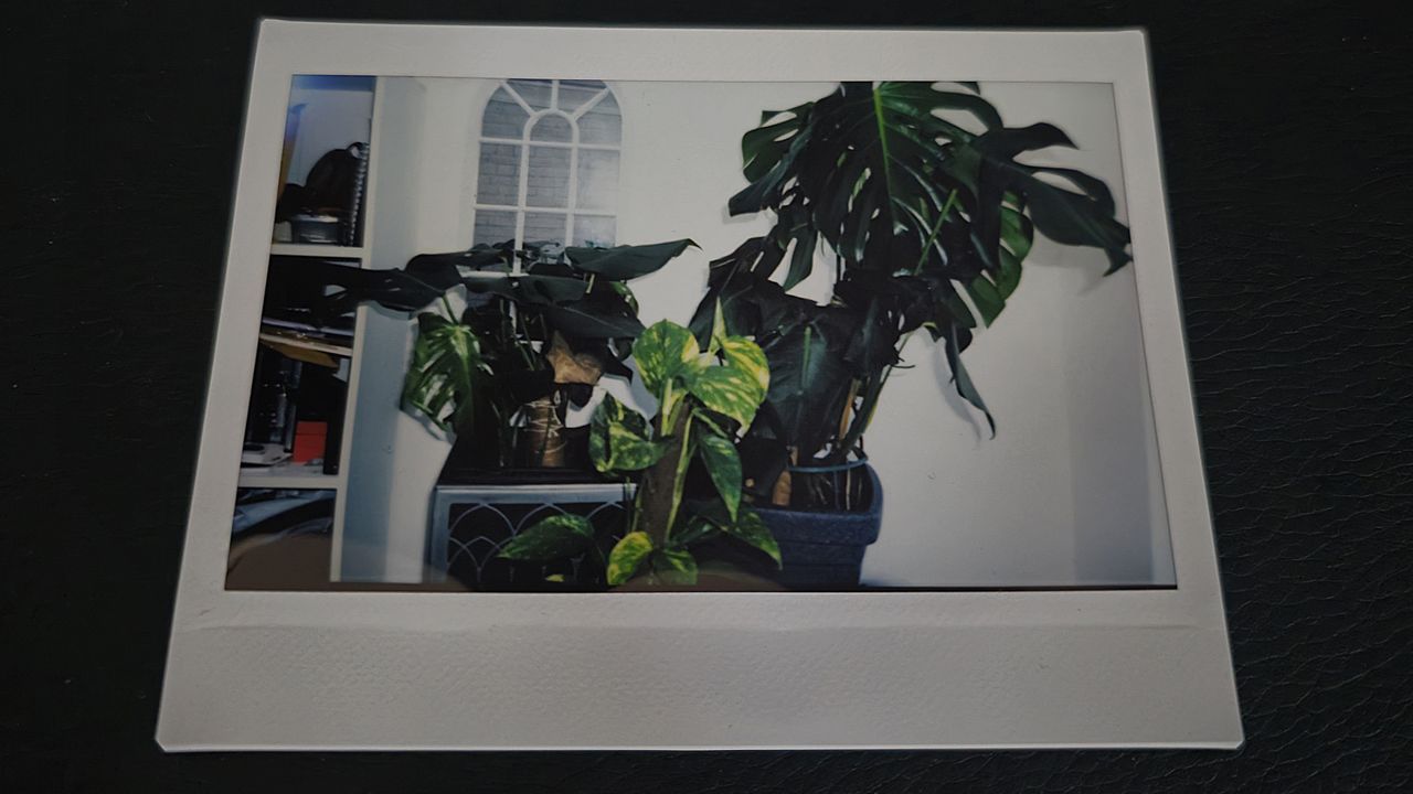 Fujifilm Instax Wide 400 review sample images