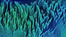 Close up satellite photo of the Great Bahama Bank showing the colorful folds of the sandbanks and seagrass 