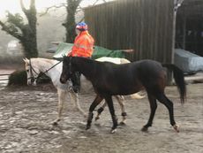 Ride-and-lead-in-the-rain-e1545303127979.jpg