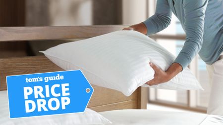 The Beckham Hotel Collection Pillow will a sales badge