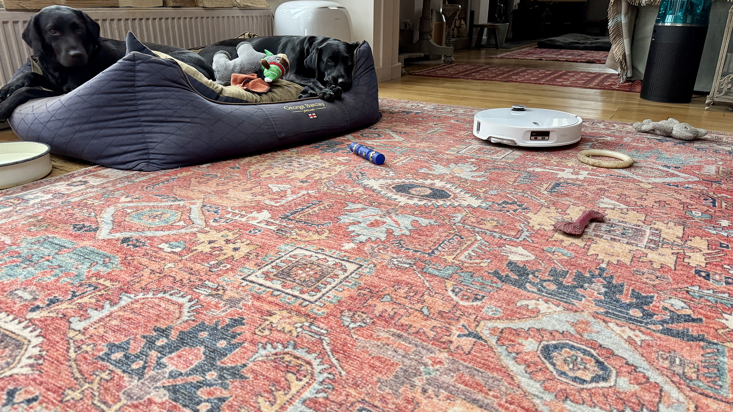 Roborock Qrevo Curv 2 Pro avoiding obstacles including a wire and dog toys, on a patterned rug