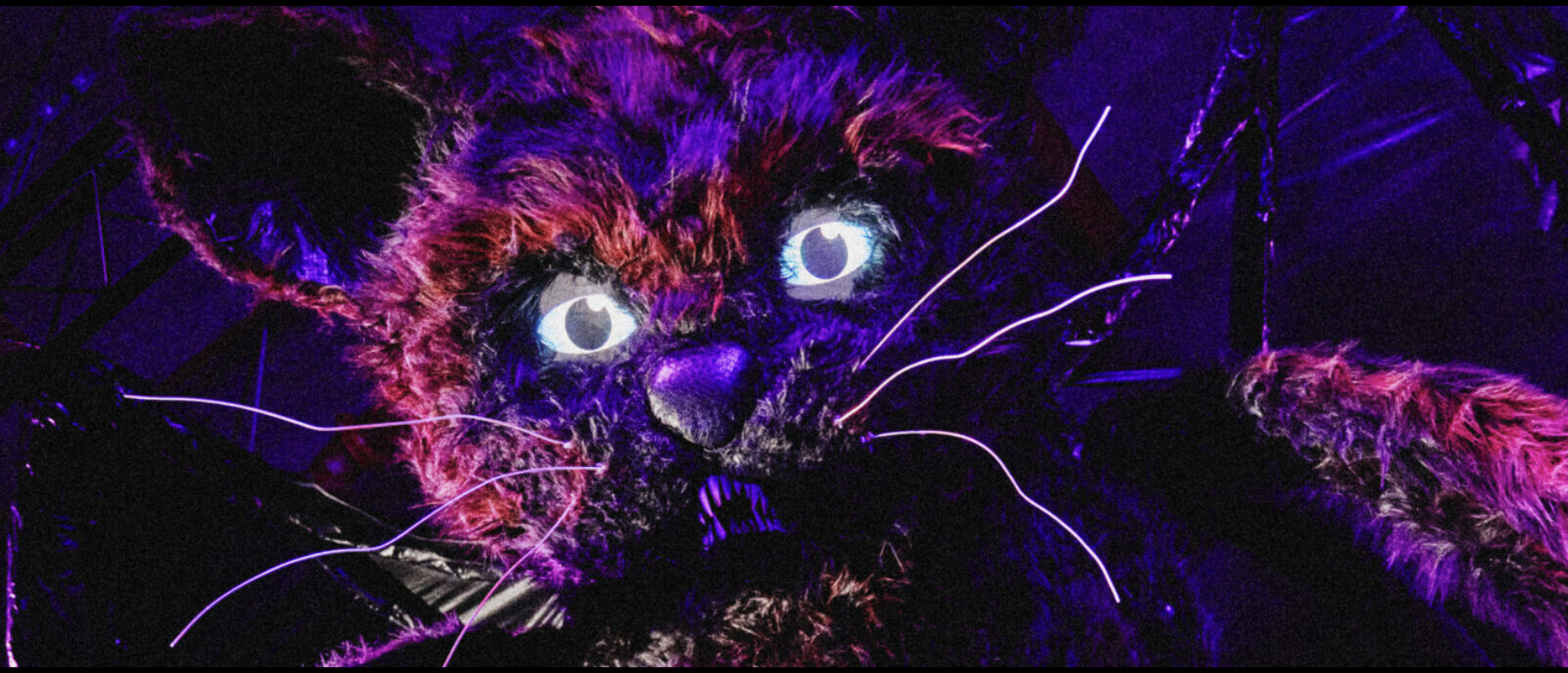 an image of the huge house cat-bat at Ted's Crazy Golf